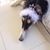 Daisy Spetalnick's profile image