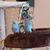 Tina Weagley-Snider Auer's profile image