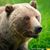 Jw Tset Soye Smith's profile image