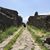 Rebecca Hoogs's profile image