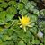 Joni Haith Bockisch's profile image
