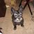 Dorothy Scanlon Moleski's profile image