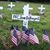 Eva Robertson Booth's profile image