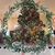 Paula M. Oder's profile image