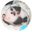 Matt 🐹's profile image