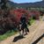 Monica Shannon Fazio's profile image