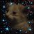 Michael Daemon's profile image
