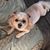Tanya Vincent's profile image