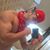 Jose D Ustari's profile image