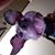 Tracey Trout's profile image