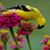 Karen Walker's profile image