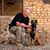 Mark Lenger's profile image