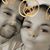 Cassie Moats's profile image