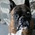 Wendy Novak's profile image