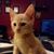 Kathi Simmons-Kuebler's profile image