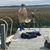 David S. Hirsch's profile image