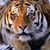 Rosa Sanchez's profile image