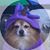 Holly Yorg's profile image