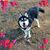 Judy Chandler's profile image