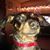Todd Jackson's profile image