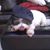 Burdette Pettit's profile image