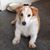 Judith Ward's profile image