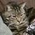 Jennifer Wulfe's profile image