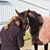 Melita Balch's profile image