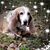 Shirley Olson's profile image