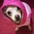 Janeen Stark's profile image
