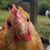 John Fierke's profile image