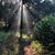 Beverlyn Fleming's profile image