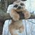 Christy Conner's profile image
