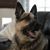 Stephanie Urbas Black's profile image