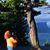 Sherri Fisher Staples's profile image