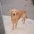 Patricia Collins's profile image
