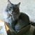 Cheri Williams-McBride's profile image