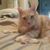 Jennifer Lynne Noffsinger's profile image