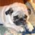 Pat Scanlan's profile image