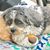 Kathy Fleming Cundiff's profile image