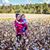 Drue Hightower McSwain's profile image