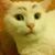 Amanda Fleming's profile image