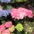 Lynda Taylor Miller's profile image