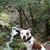 Conagan Melton's profile image