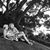 Randi Savron's profile image