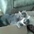 Susan Haynes Peak's profile image