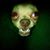 Steve Mabry's profile image