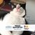 Erin Marshall Ayscue's profile image
