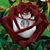 Angie Sellers's profile image