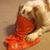 Vicki Fenstermaker's profile image
